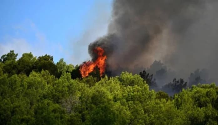 France evacuates 10,000 as wildfires spread across Pyrenees near Spain